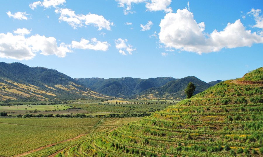 Vale do Colchagua Vale do Colchagua